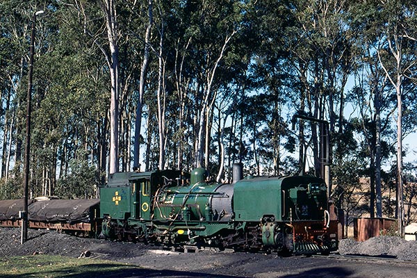 South Africa Railways NGG16 Garratt 110 in green livery at Izingolweni