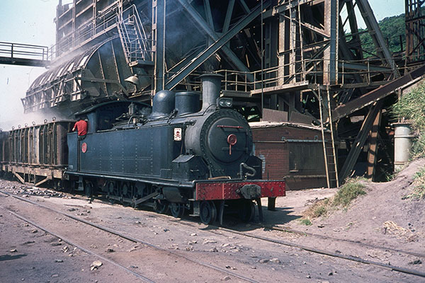 South African Railways H2 class 4-8-2T no. 288 at The Bluff