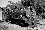Transvaal Collieries steam locos

