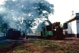 Steam locos at Tersana Baru Sugar Mill, Java
