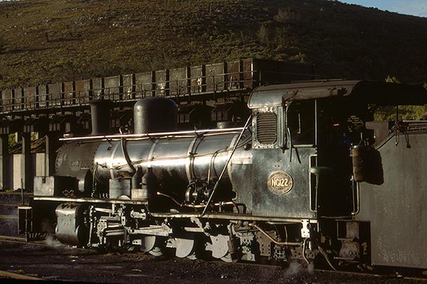 South African Railways NGG15 class 2-8-2 NG122 at Assegaaibosch