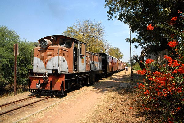 Indian Railways narrow gauge ZDM5 538 at Anakhi 