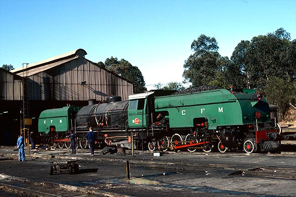 Mozambique Railways 4-8-2+2-8-4 Garratt 960 at Bulawayo