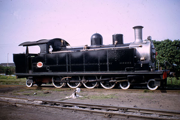 South African Railways H2 class 4-8-2T 314 at Greyville