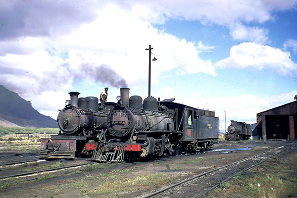 El Maiten loco depot in Patagonia (Argentina)