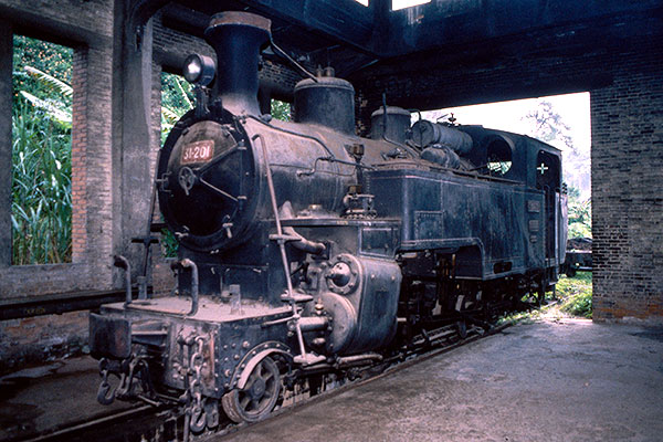 Vietnam Railways metre gauge 2-6-0T rack loco 31-201 at Dalat