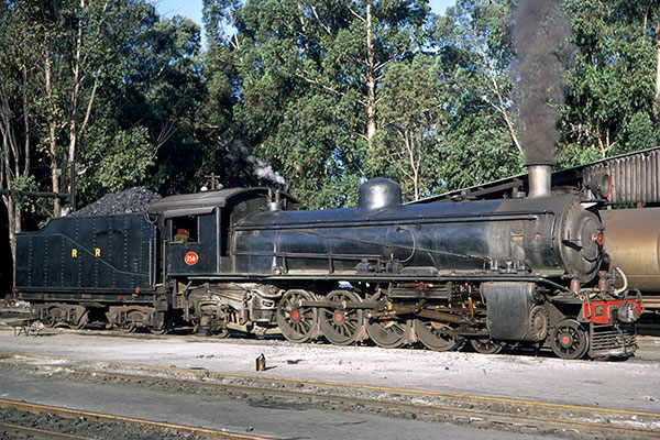 Rhodesian Railways 12th class 4-8-2 no.258 at Salisbury