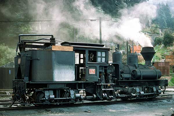 Alishan Forest Railway 18-ton 2-cylinder two truck Shay no. 17