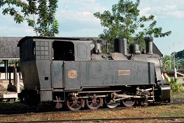 Cepu Forestry Railway BMAG 0-10-0T 