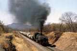 Steam locos near Wankie & Thomson Junction