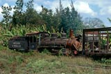 Gregorio A Manalich sugar mill steam locos