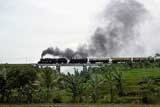 Indonesian Railways Mallets at Cibatu - part 2