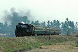 Indonesian Railways B51 class 4-4-0s in West Java