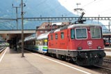 Trains at Arth Goldau - Gotthard route