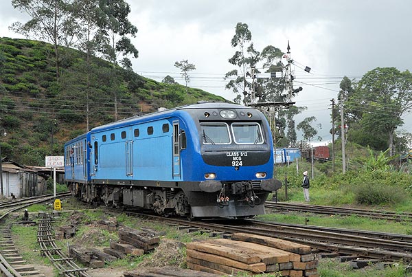 Trains at Nanu Oya for Nuwara Eliya