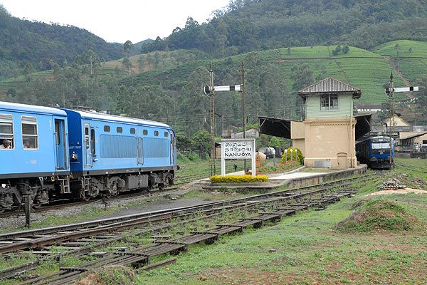 Trains at Nanu Oya for Nuwara Eliya