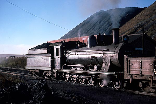 Transvaal Collieries steam locos

