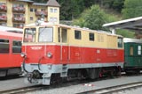 Pinzgauerbahn narrow gauge depot