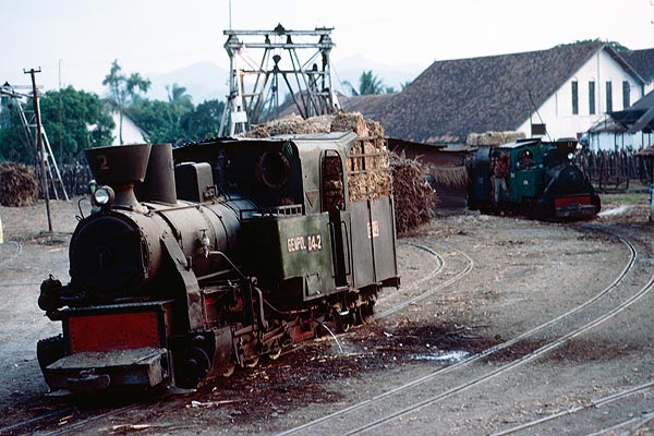 Steam locos at Gempol Sugar Mill, Java
