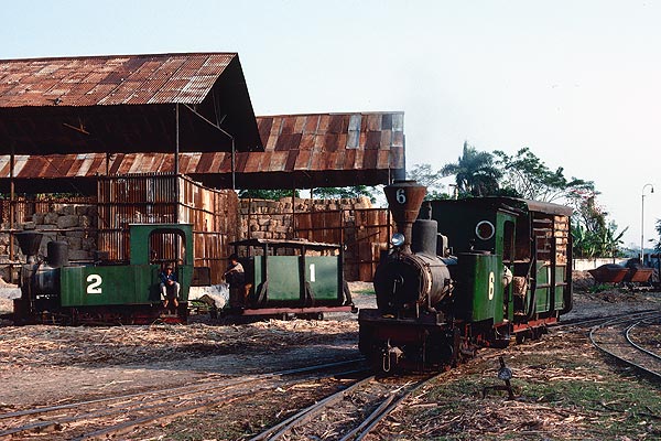 Steam locos at Sindanglaut Sugar Mill, Java
