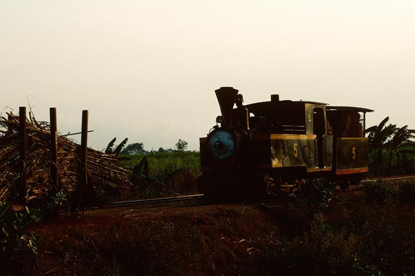 Steam locos at Jatibarang & Banjaratma Sugar Mills, Java
