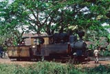 Steam locos at Ketanggungan Barat Sugar Mill, Java 
