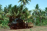 Steam locos at Ketanggungan Barat Sugar Mill, Java 
